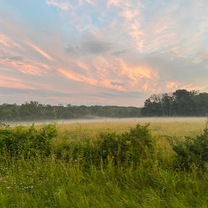 Meet your Posher, Warren